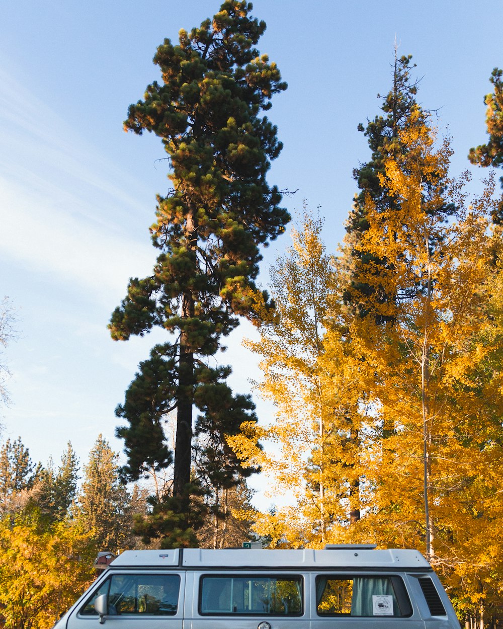 parked white van