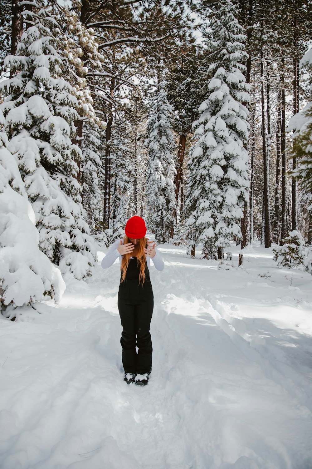 mulher na floresta de neve