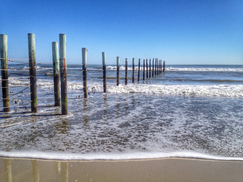 line of wooden post on beach
