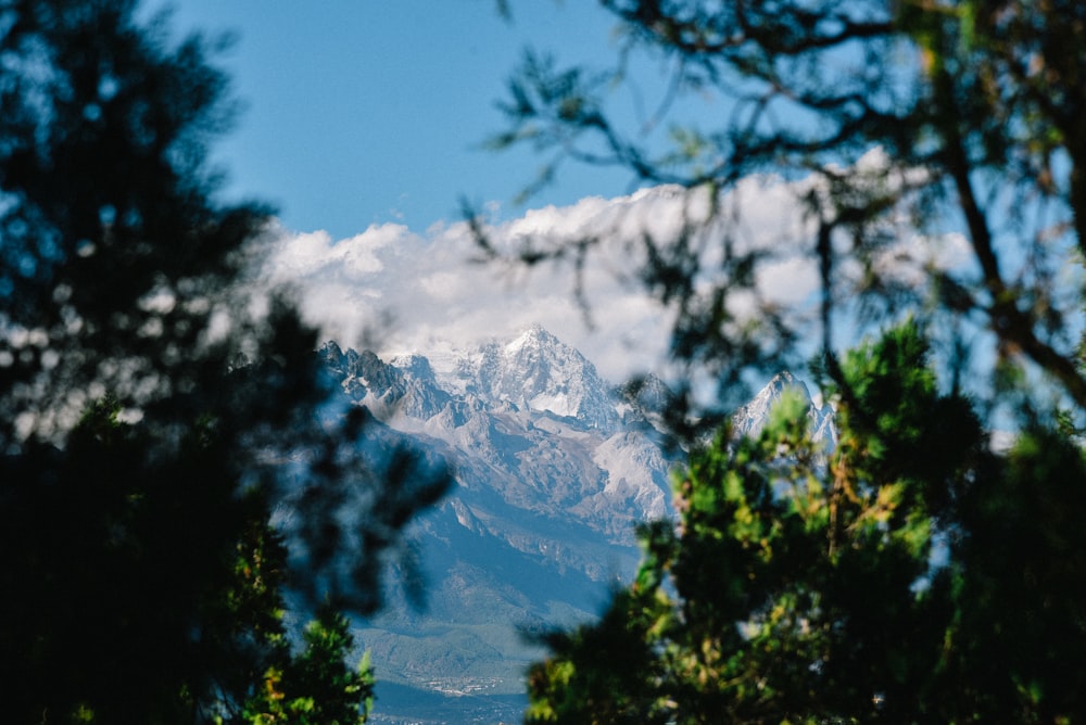 landscape photography of mountain