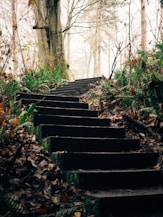 black concrete stairs