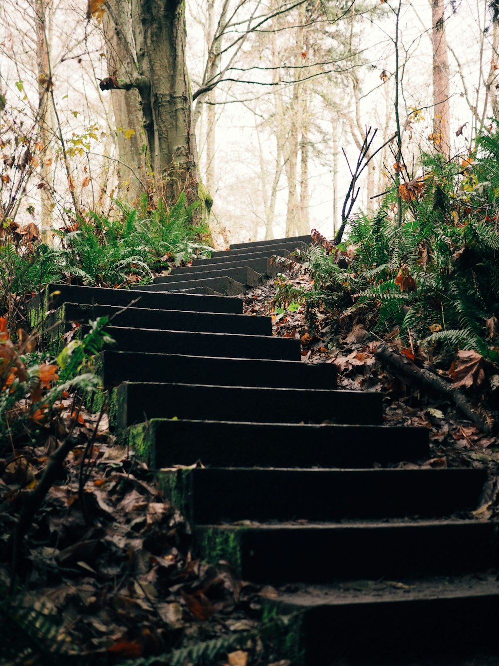 schwarze Betontreppe