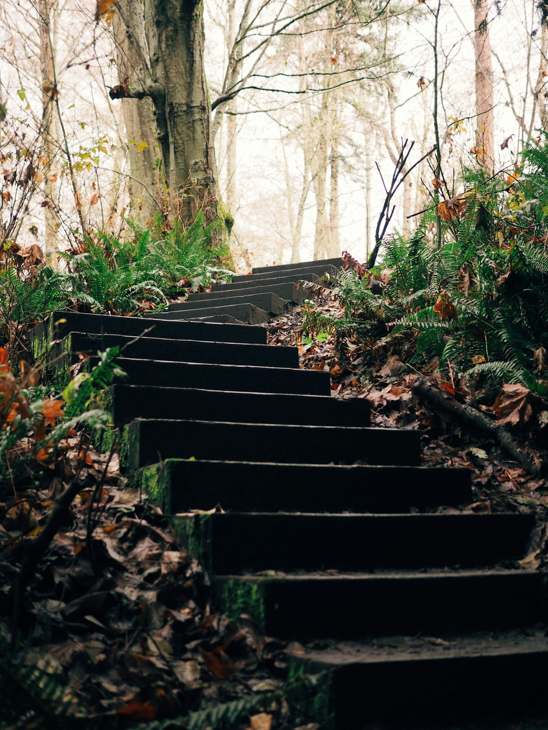 black concrete stairs