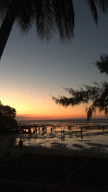 A peaceful group of travelers meditating near the calm Caribbean sea at sunset.