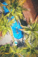 aerial photography of two people on swimming near coconut trees and resort houses