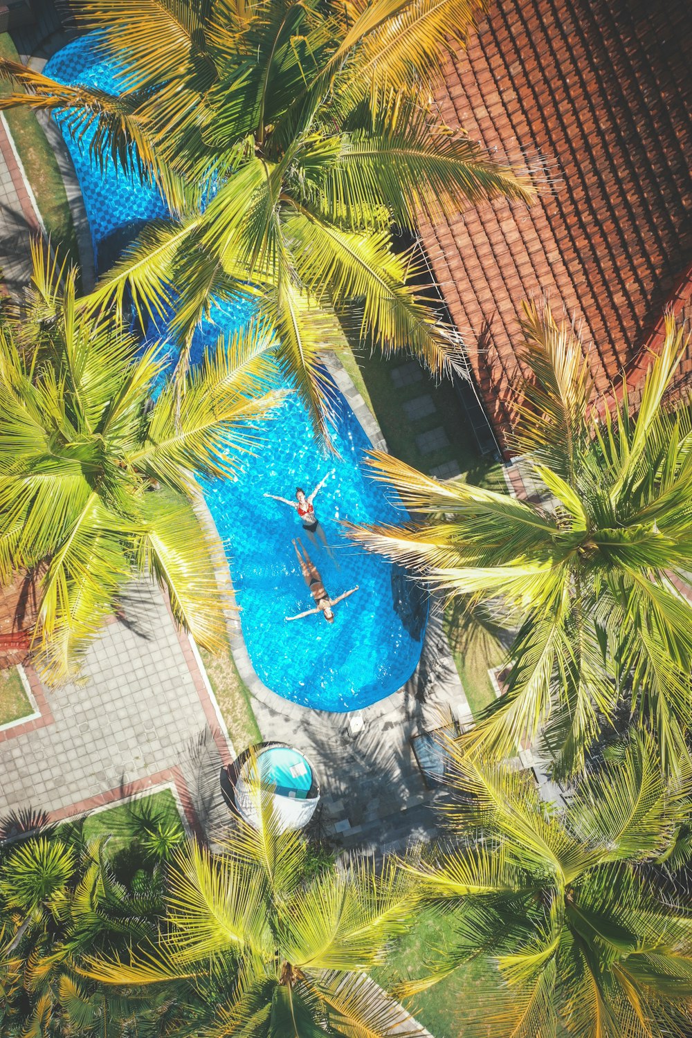 Luftaufnahme von zwei Personen beim Schwimmen in der Nähe von Kokospalmen und Ferienhäusern