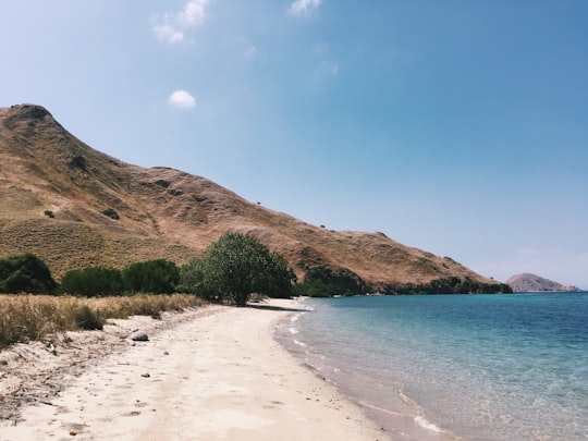 Lawa Darat Gili things to do in Rinca