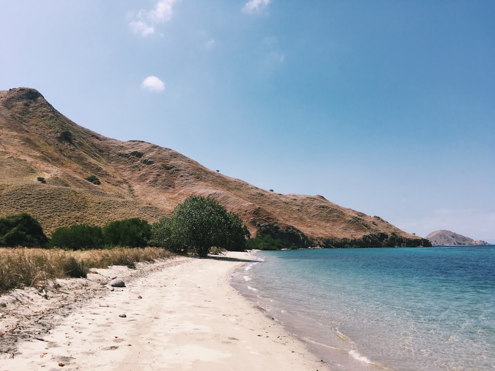 seashore and mountain scenery