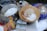 A variety of baking ingredients are arranged on a metallic surface. A large bowl contains oats, cubes of caramel, and white powder, likely flour or powdered sugar. Next to it is a large metal pot with similar white powder. Surrounding the containers are packs of oats, organic salted butter, caramel candies, and a large bag of nuts. A canister of Quaker oats and a salt grinder are also visible.