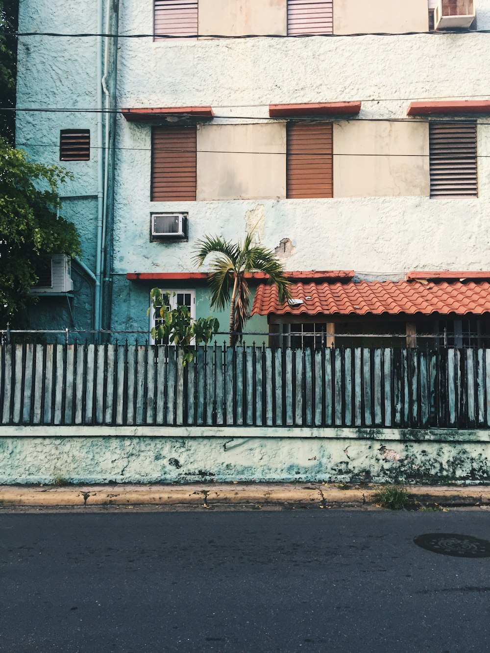 green trees beside building