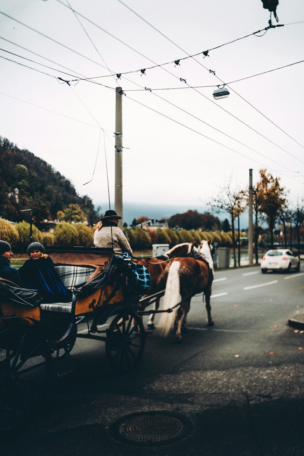 a horse drawn carriage traveling down a street