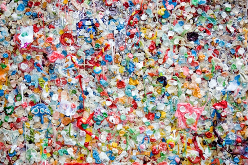Microplastics and Your Body: Where the Science Actually Stands