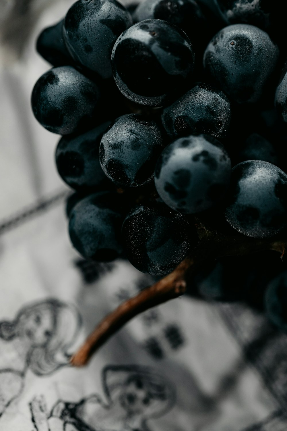 photo of blue berries