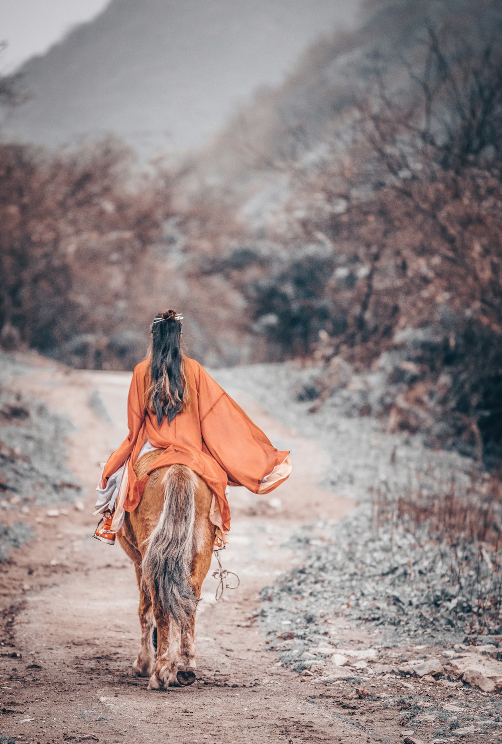 woman on horse