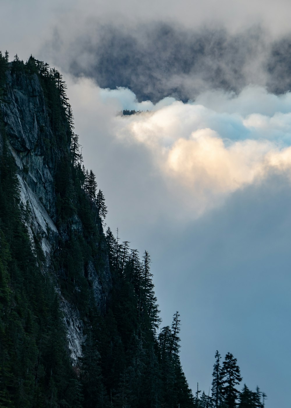 tree covered mountain during day