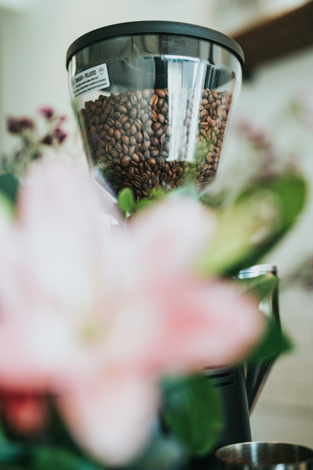 shallow focus photo of coffee beans in clear plastic container