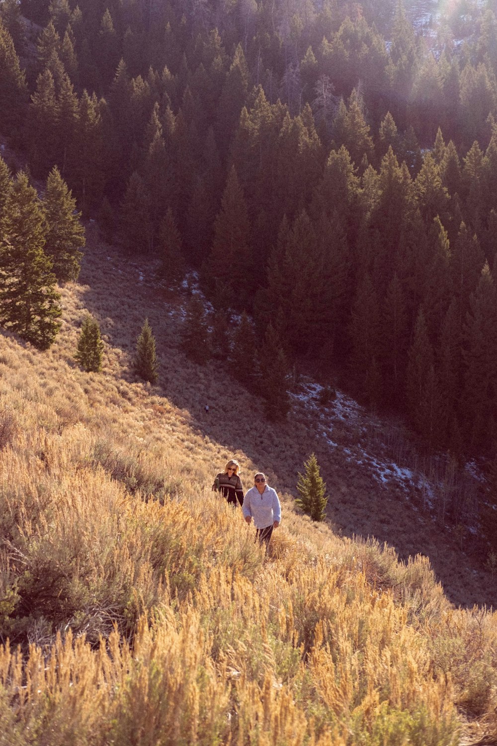 person walking up mountain during daytime