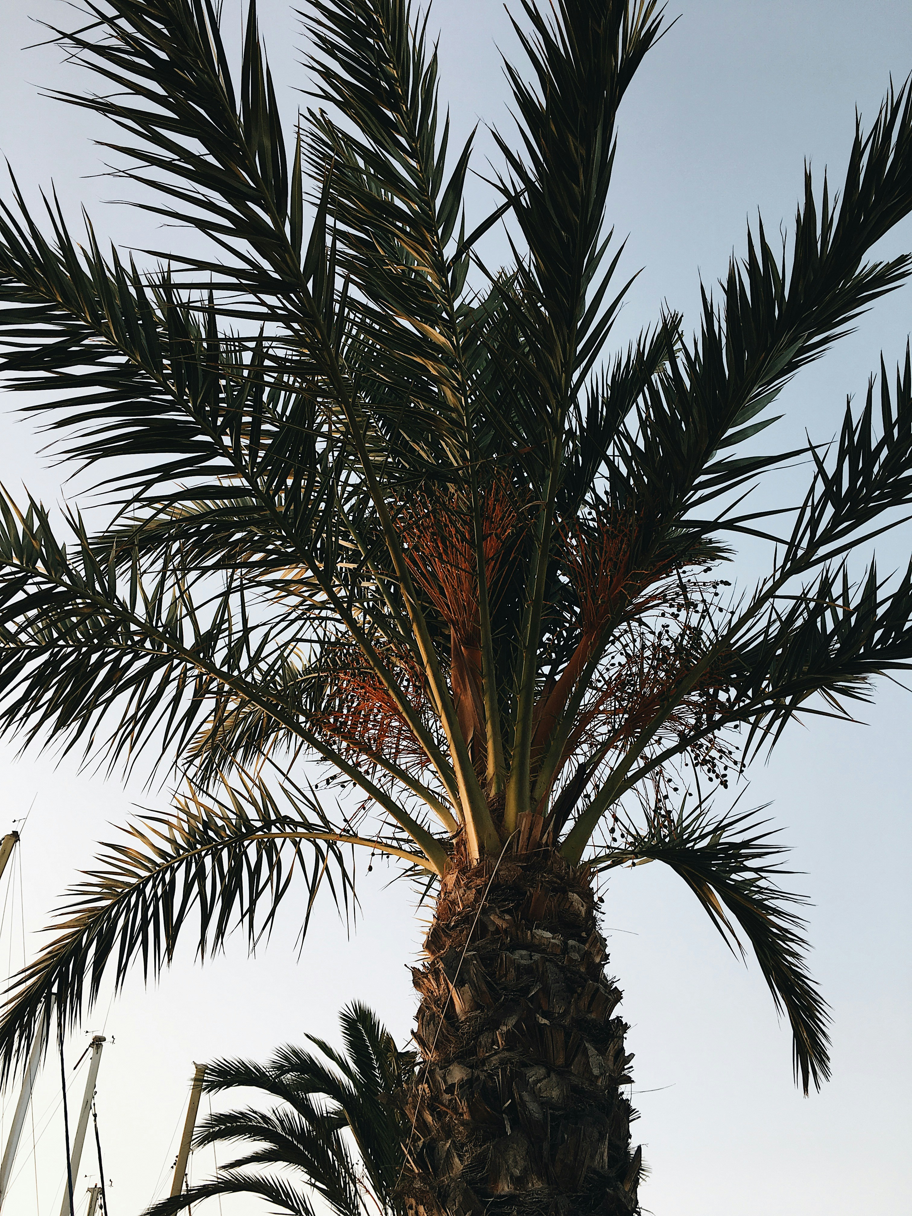 Photo by aanasanjuan