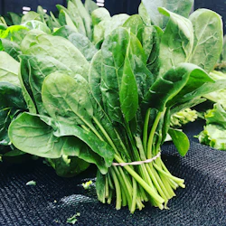 Fresh Veggies