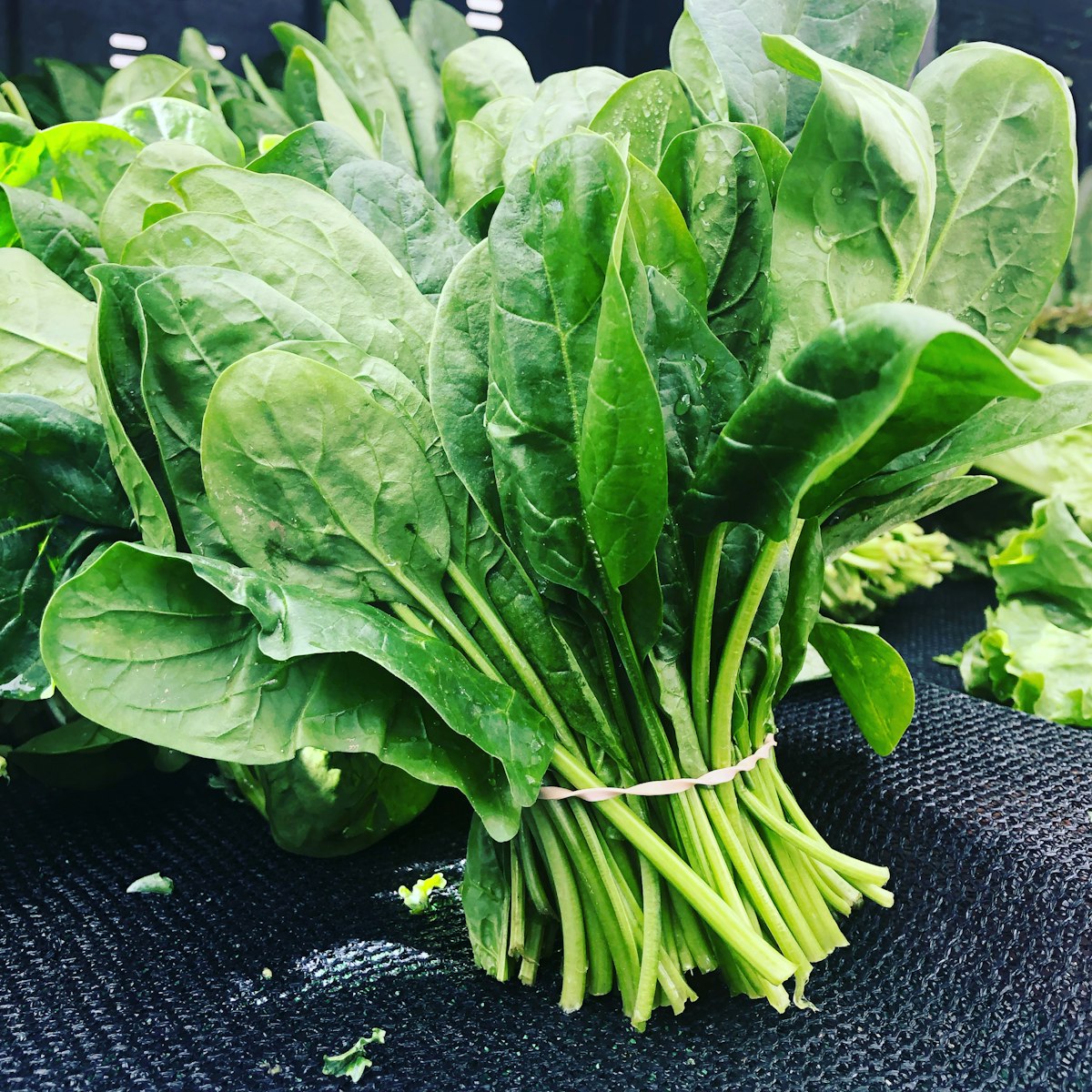 Fresh leafy green vegetables, a natural dietary source of folate