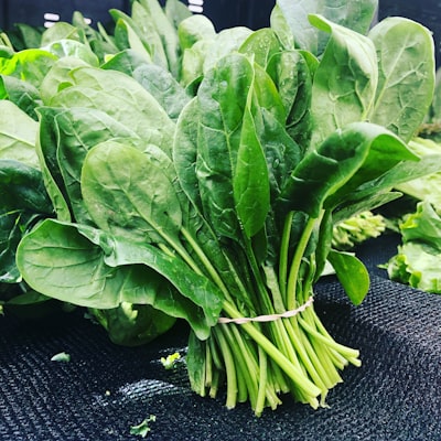 Salad greens