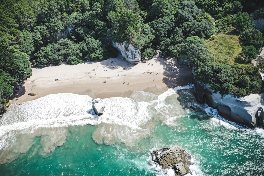 aerial photography of beach