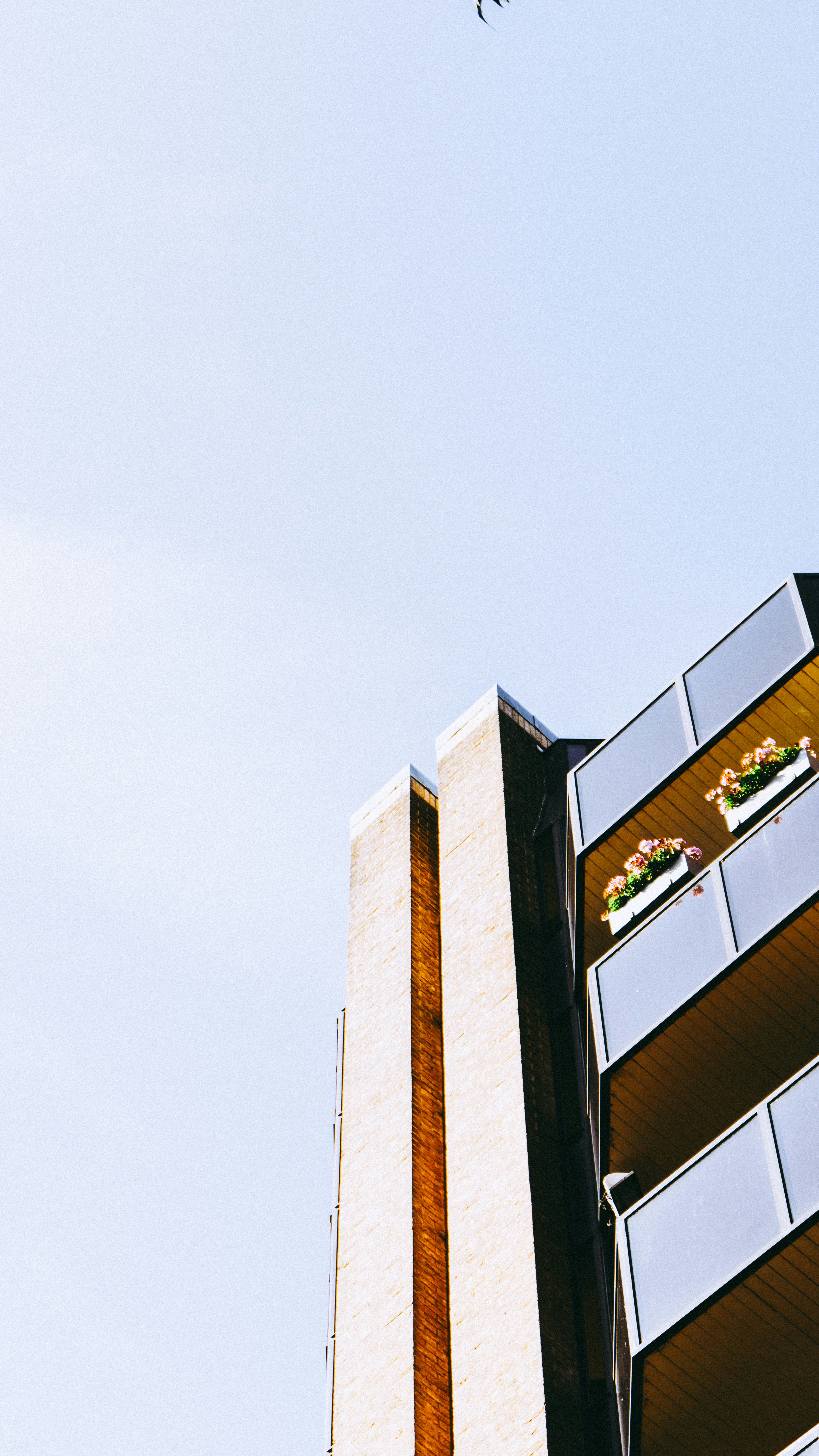 Photo by virussinside