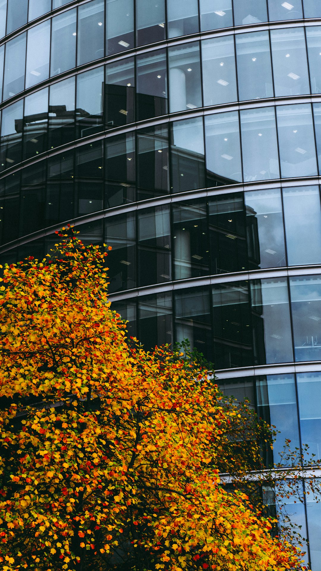 curtained-glass building