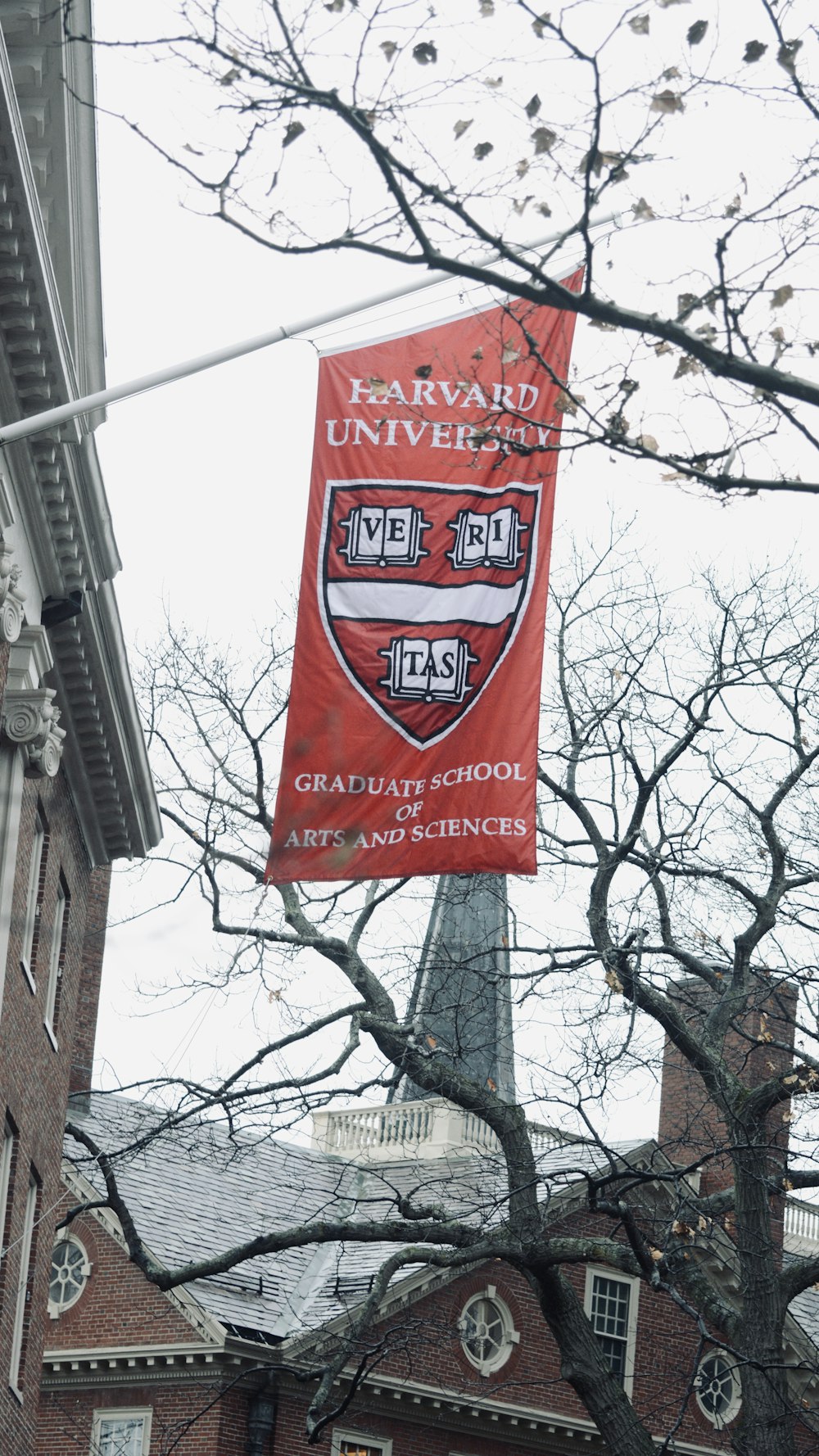 Banner der Harvard University