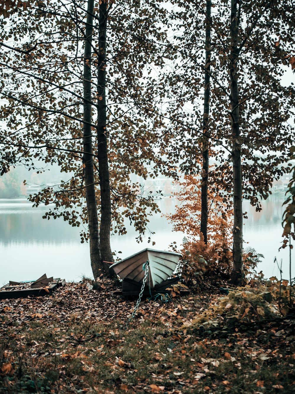 shallow focus photo of white boat between trees