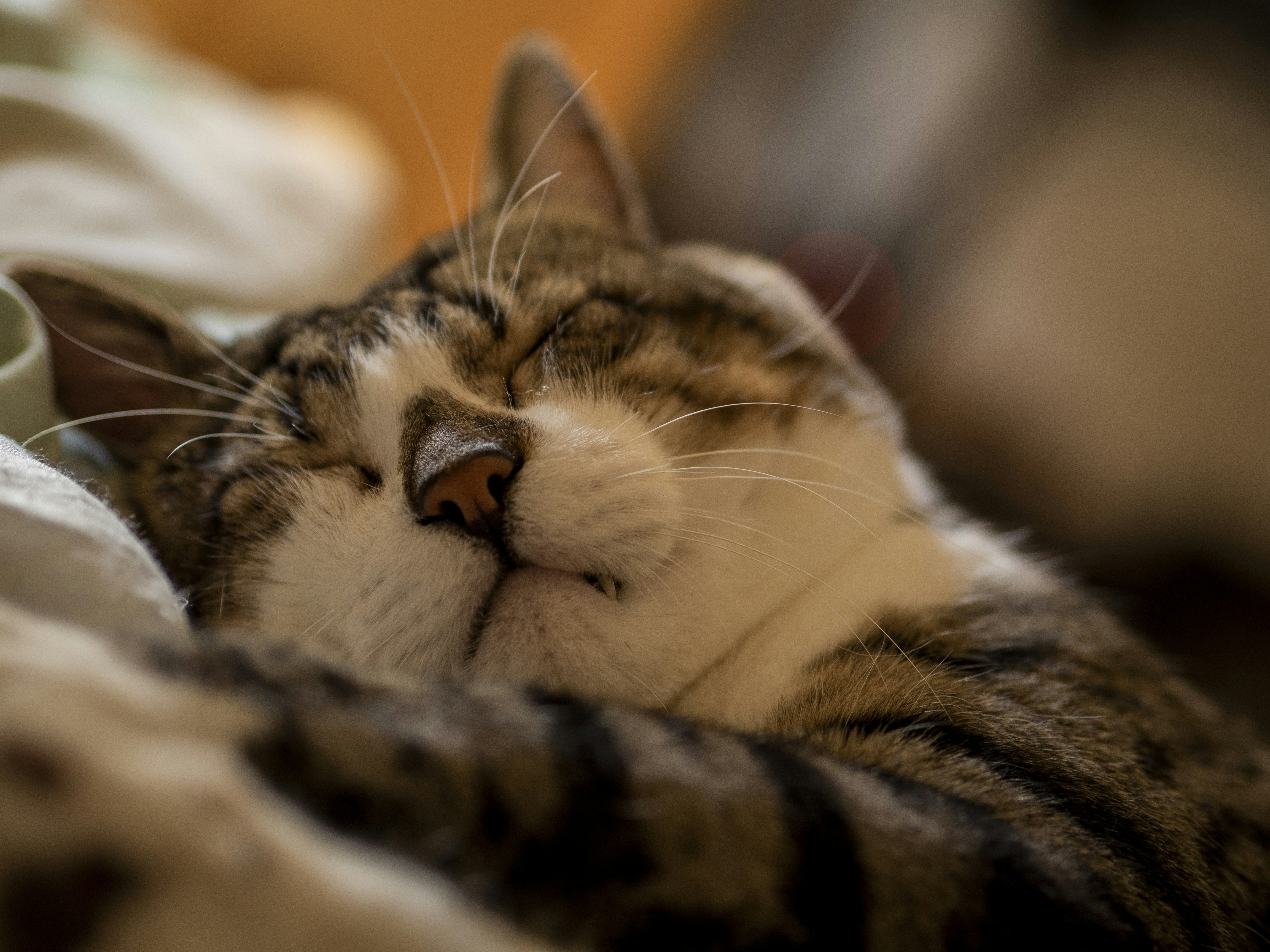 Photo by maxence_pira