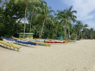 Panoramic view of the beach with several canoes lined up, ready for an afternoon adventure.