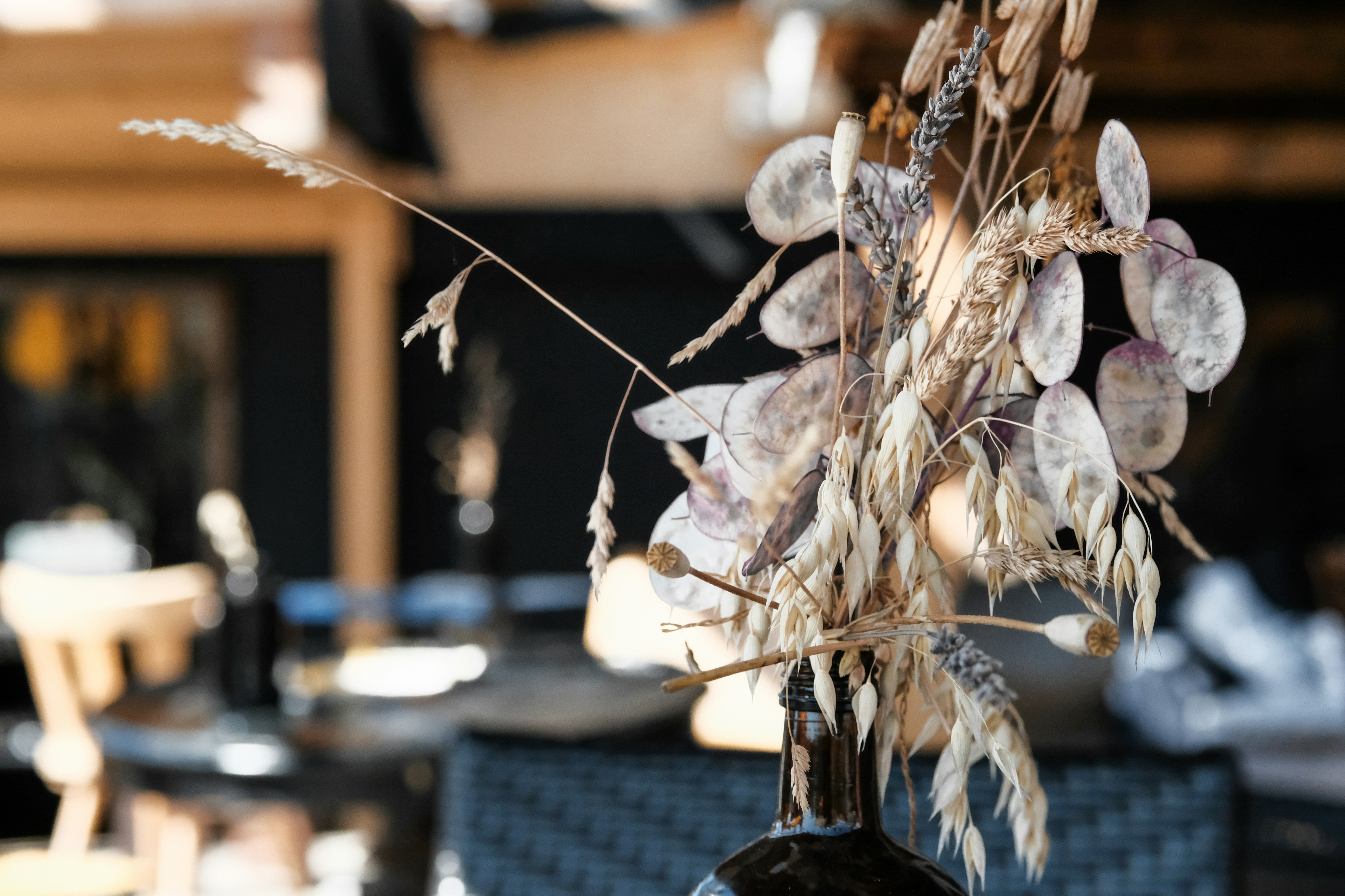 pianta a foglia marrone