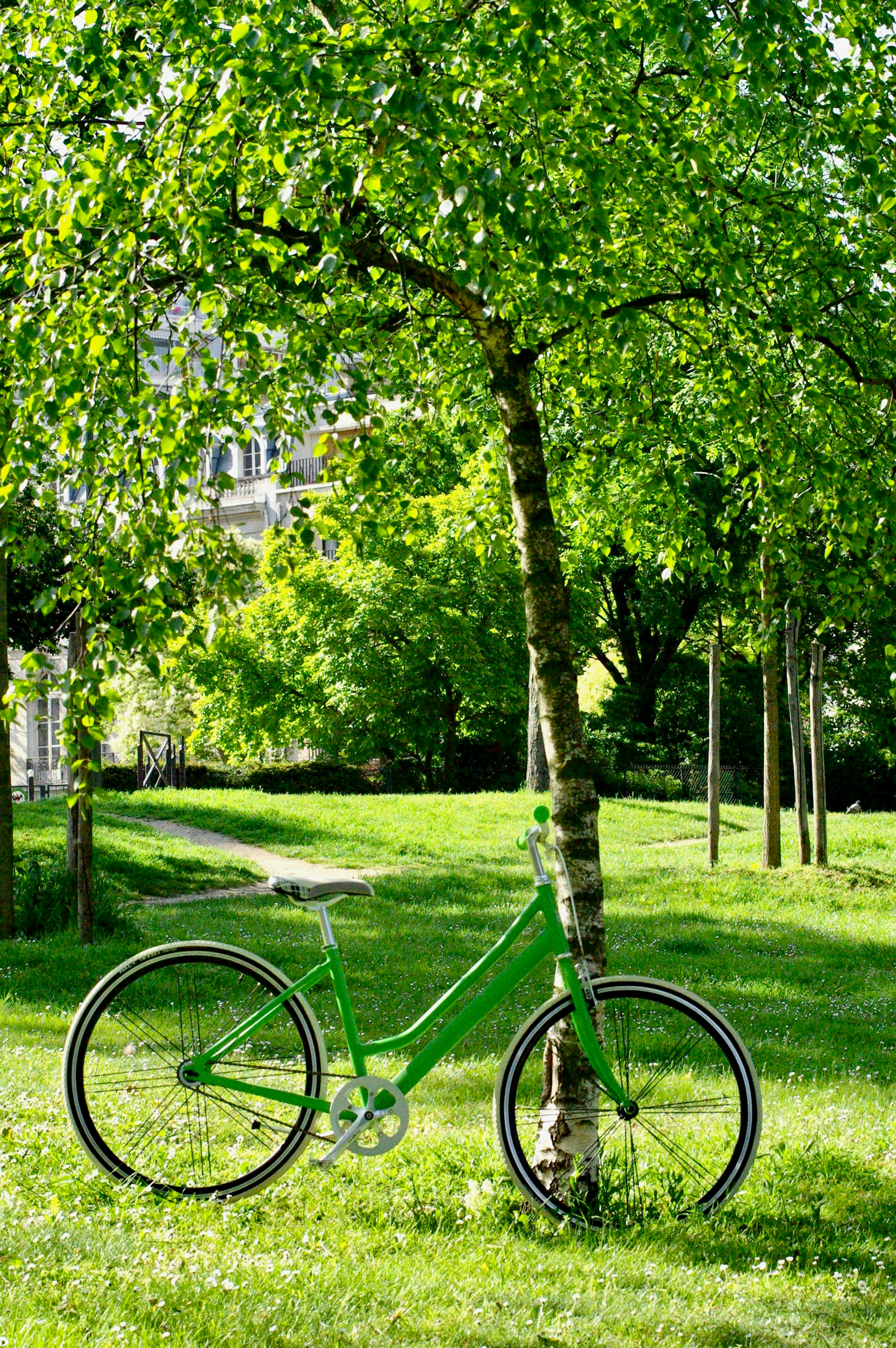 Photo by swabdesign_official