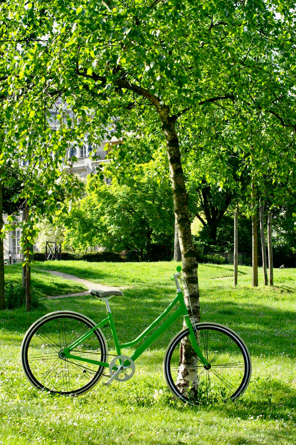 green bicycle near tree