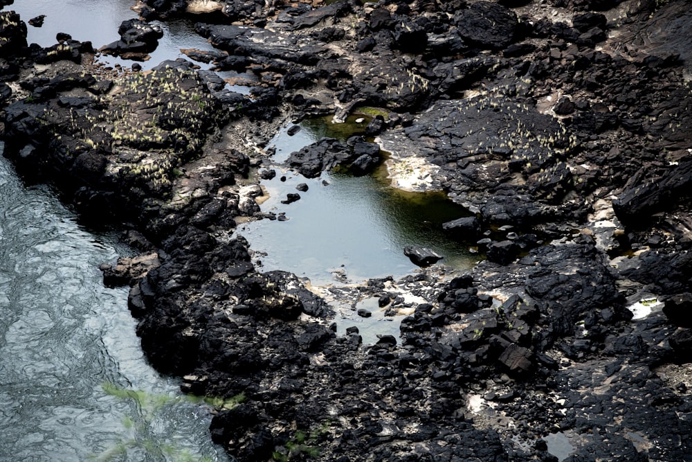 black rocks during daytime