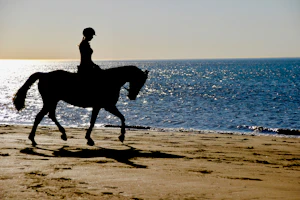 Horseback riding on beach