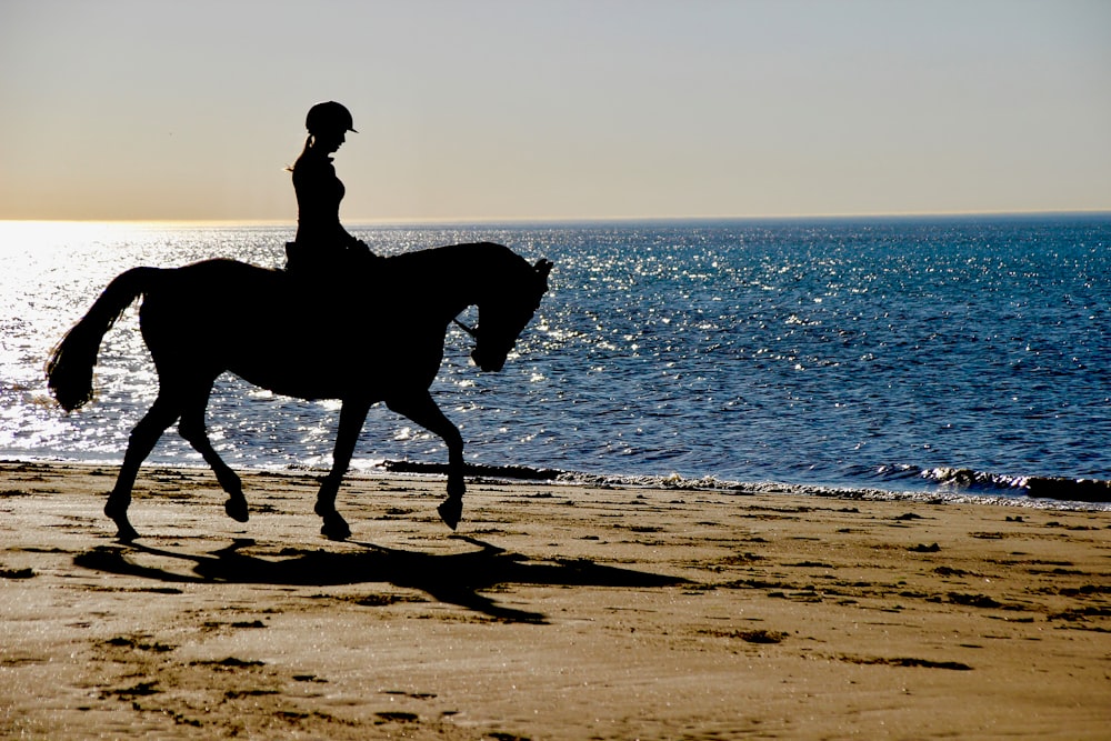 person horseback riding on beach