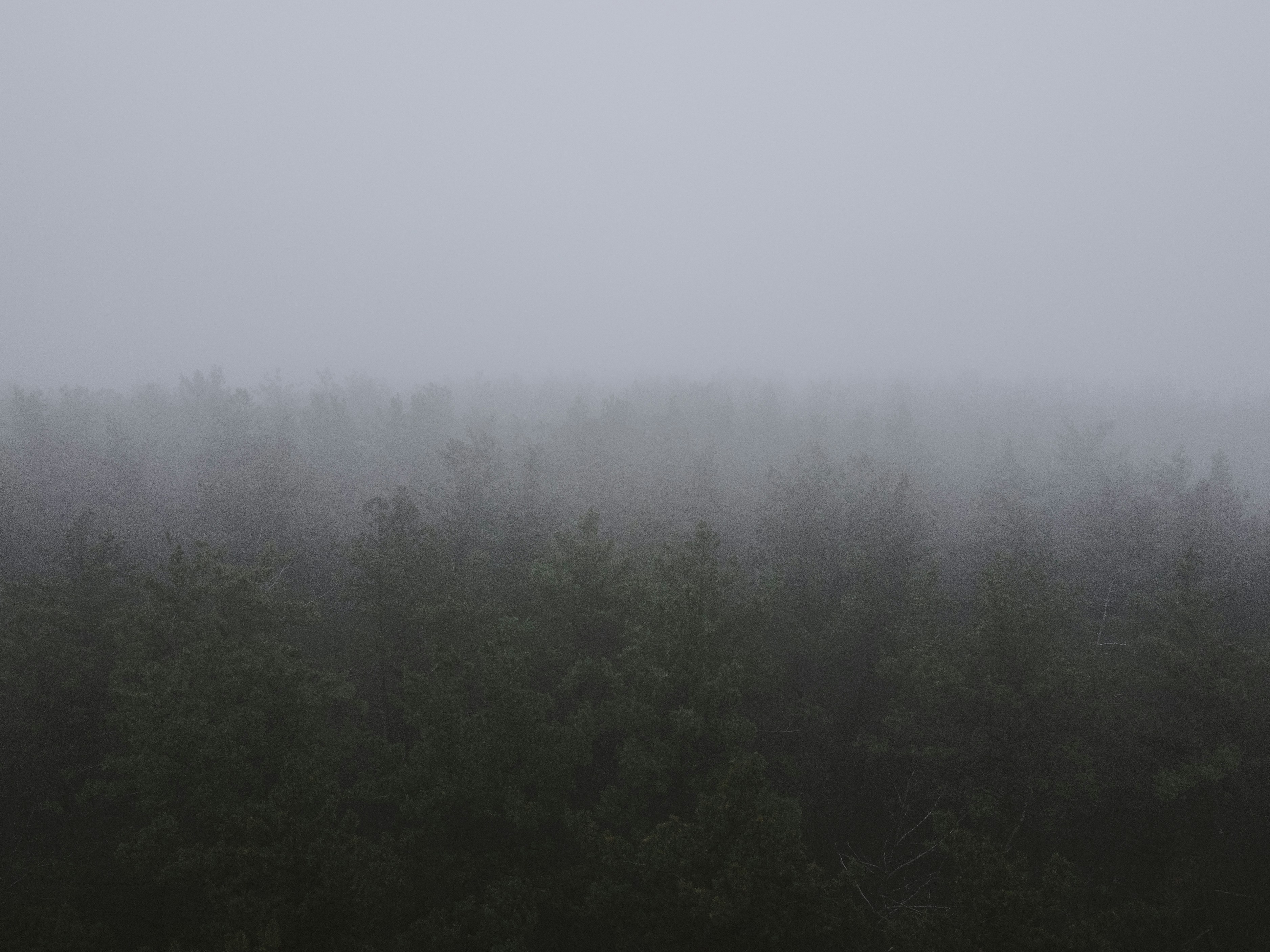 Photo by artsraccoon