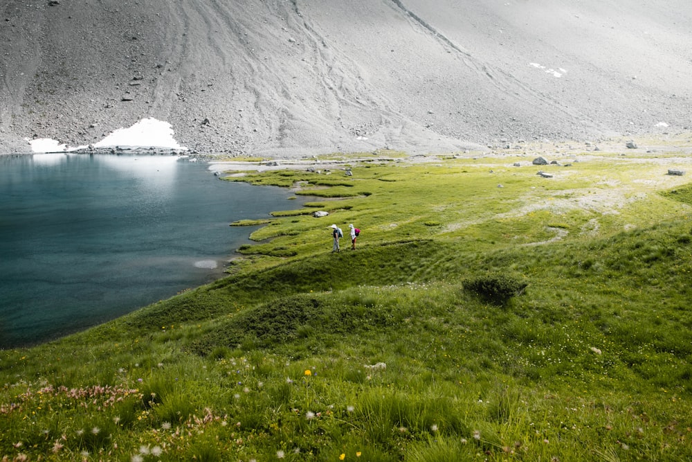 Campo de hierba verde y cuerpo de agua