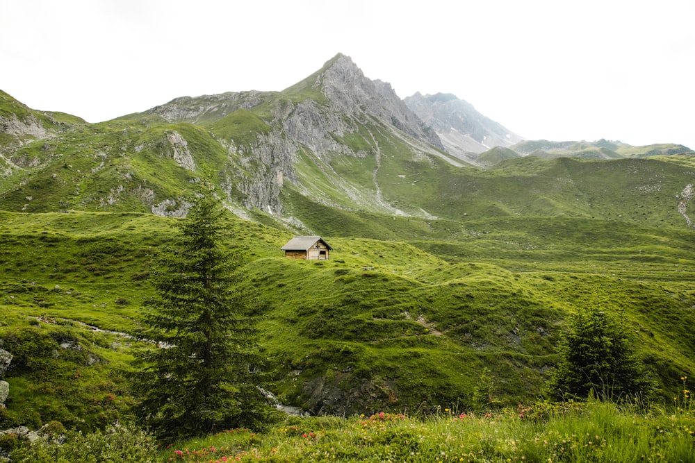 cabin on grass field near mountains during day