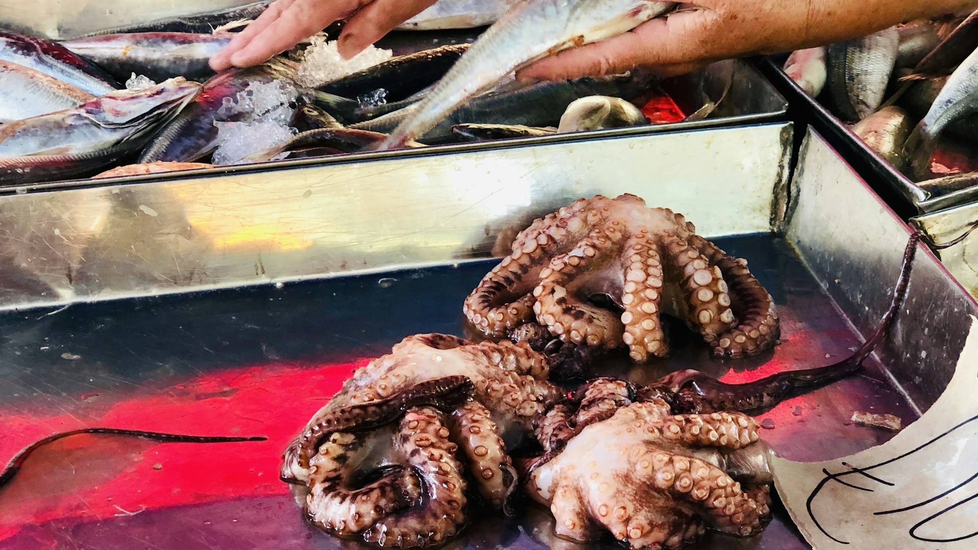 Marsaxlokk Fish Market