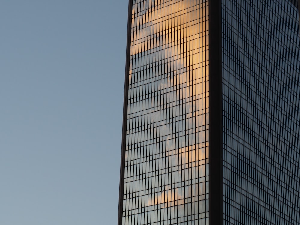 low angle photo of building