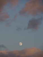 A serene outdoor scene with members meditating under a full moon.