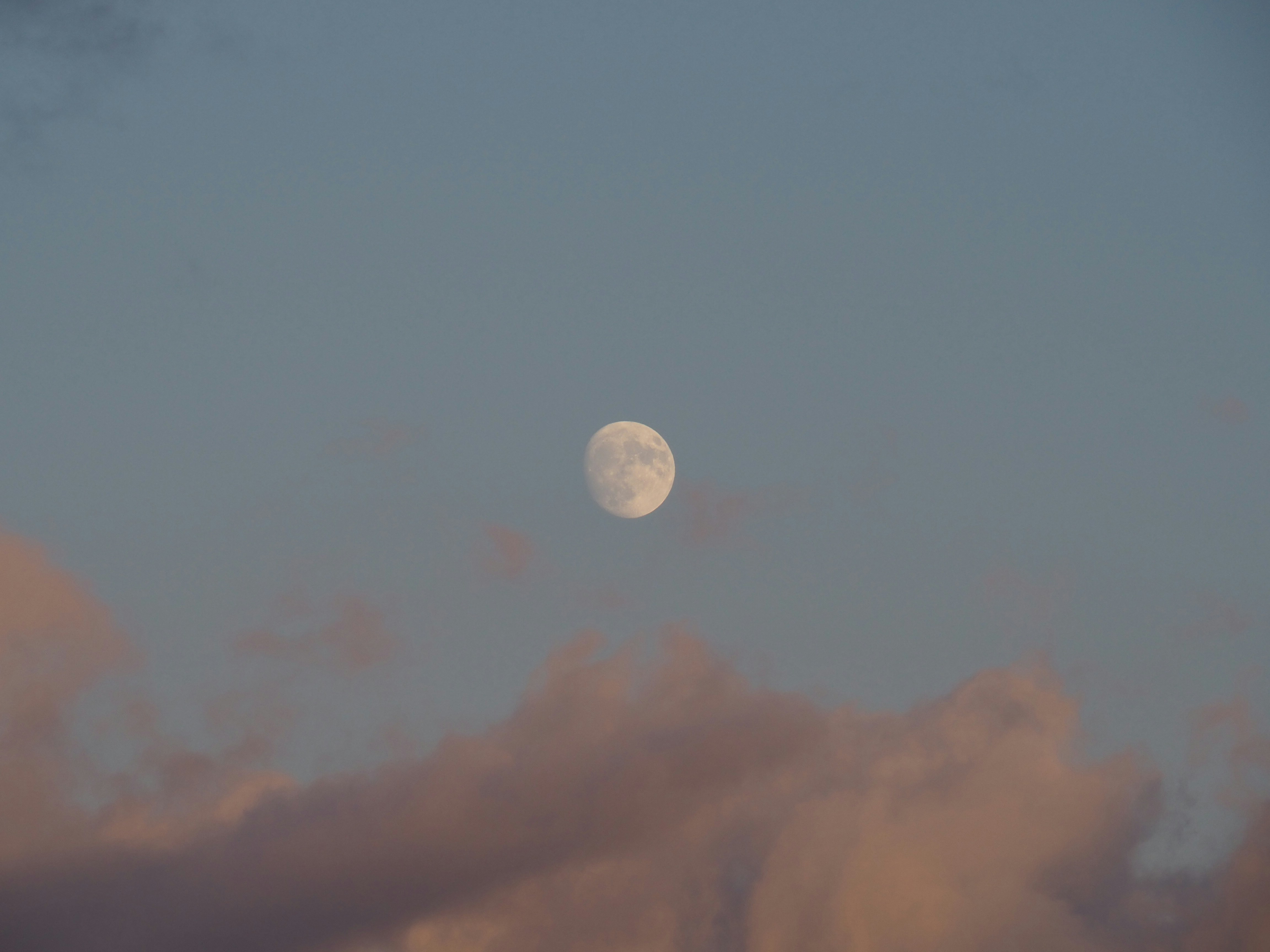 Photo by nimbus_vulpis