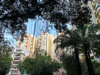 Sunlit Vida Residences tower rising above lush tropical landscaping with a glimpse of Biscayne Bay.