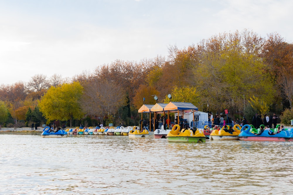 group of people riding on the swan paddle boats