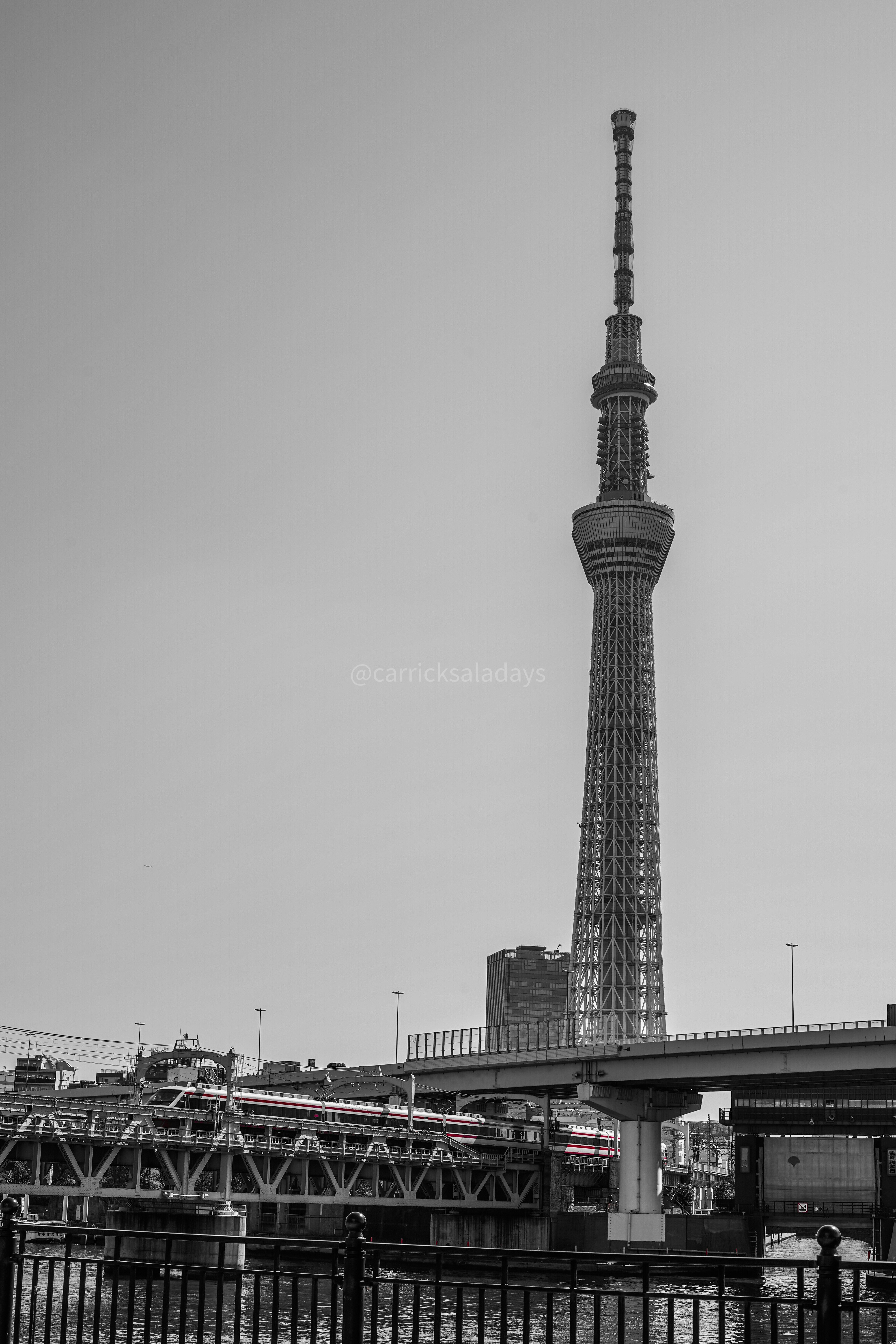 grayscale photography of tower