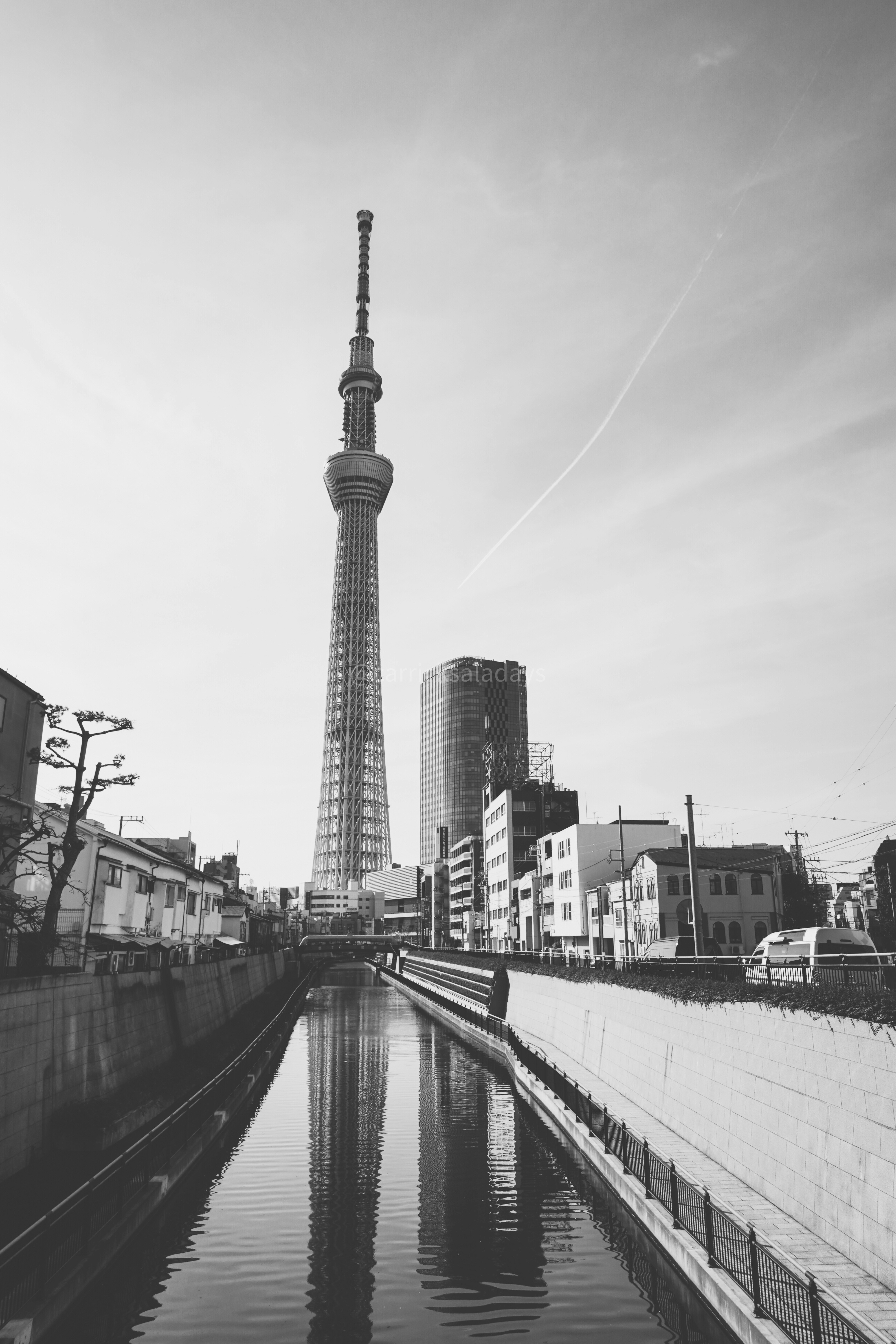 greyscale photography of building