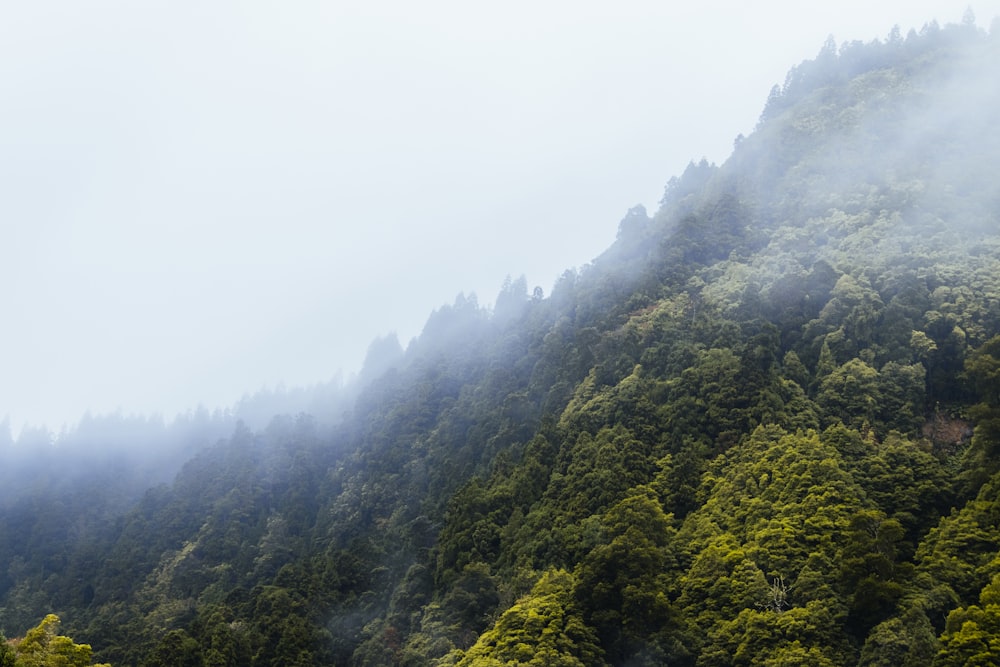 mountains during daytime